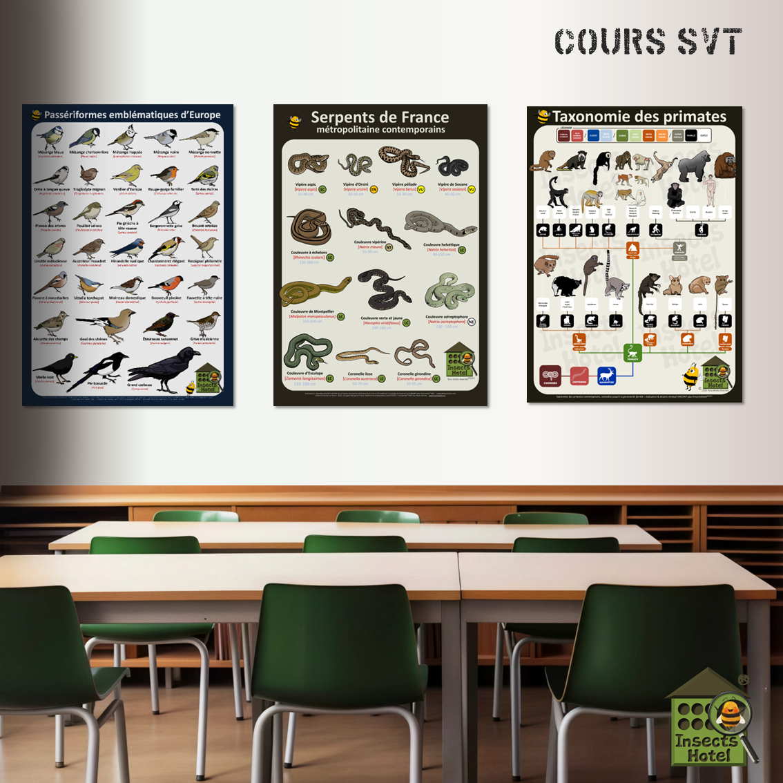 product_image_100624