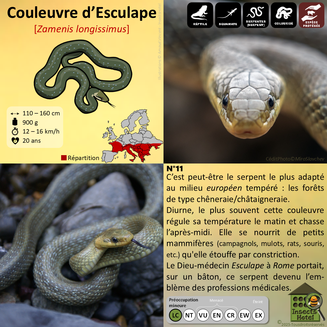 product_image_760730