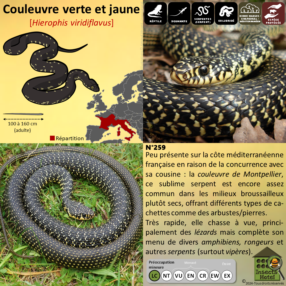 product_image_415823