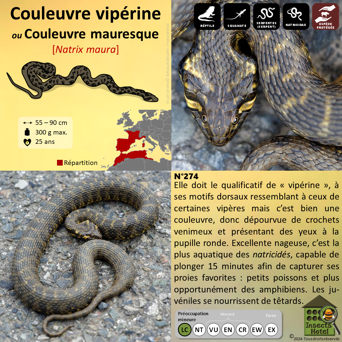 product_image_427359