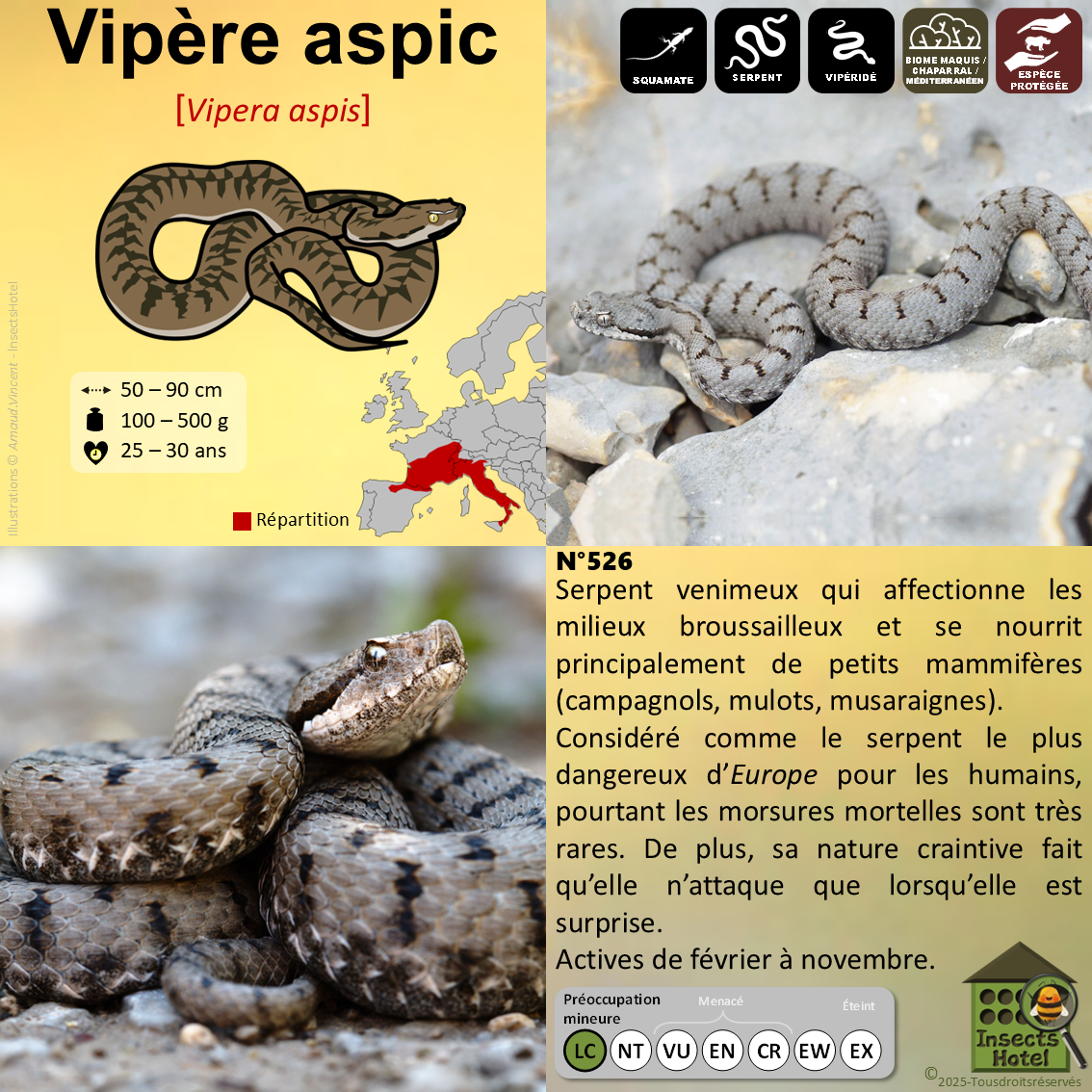 product_image_495128