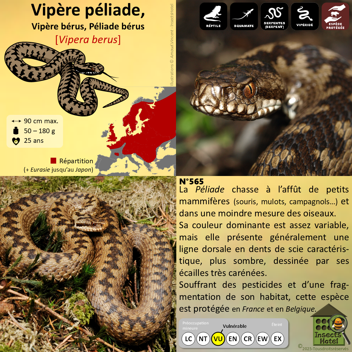 product_image_894336