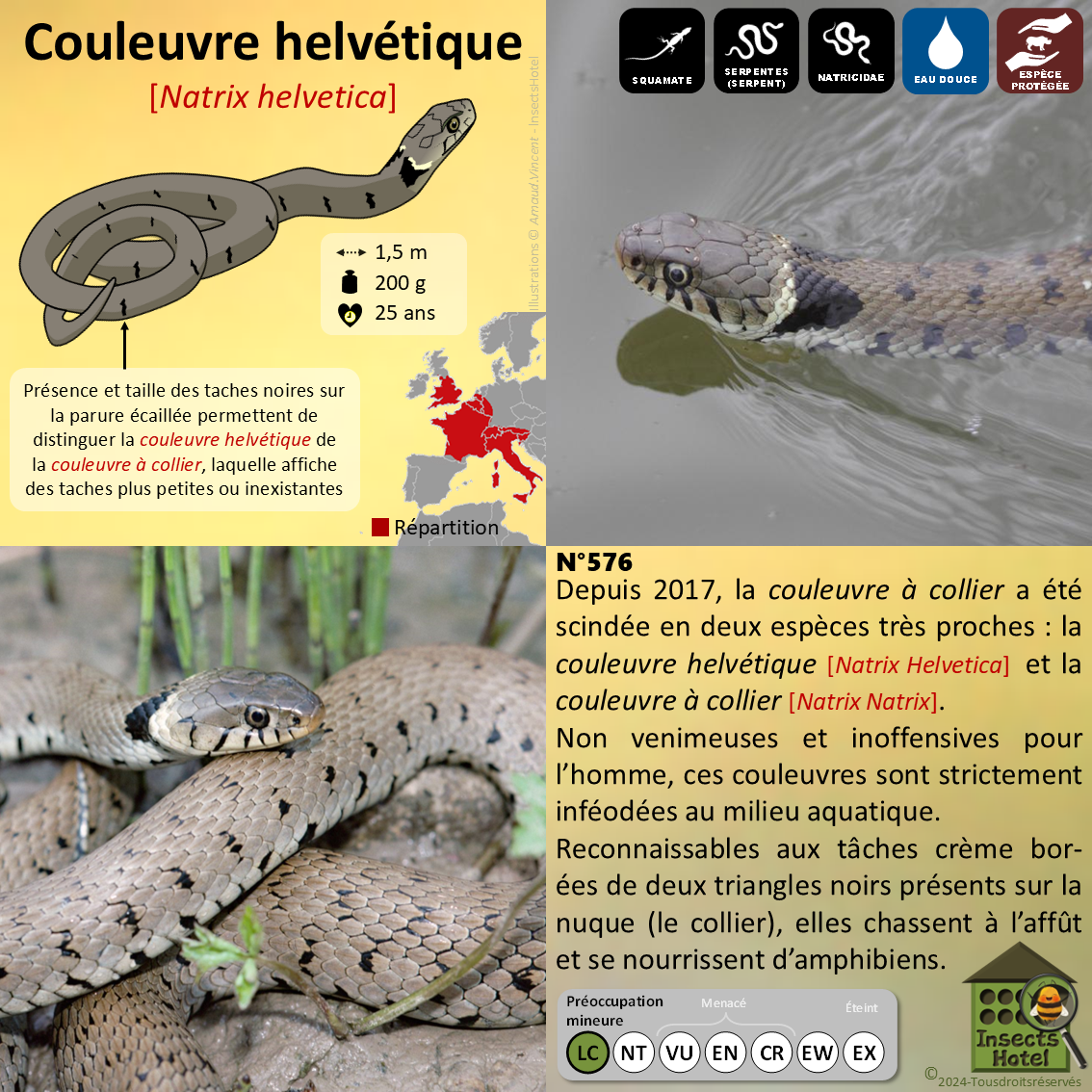 product_image_755531