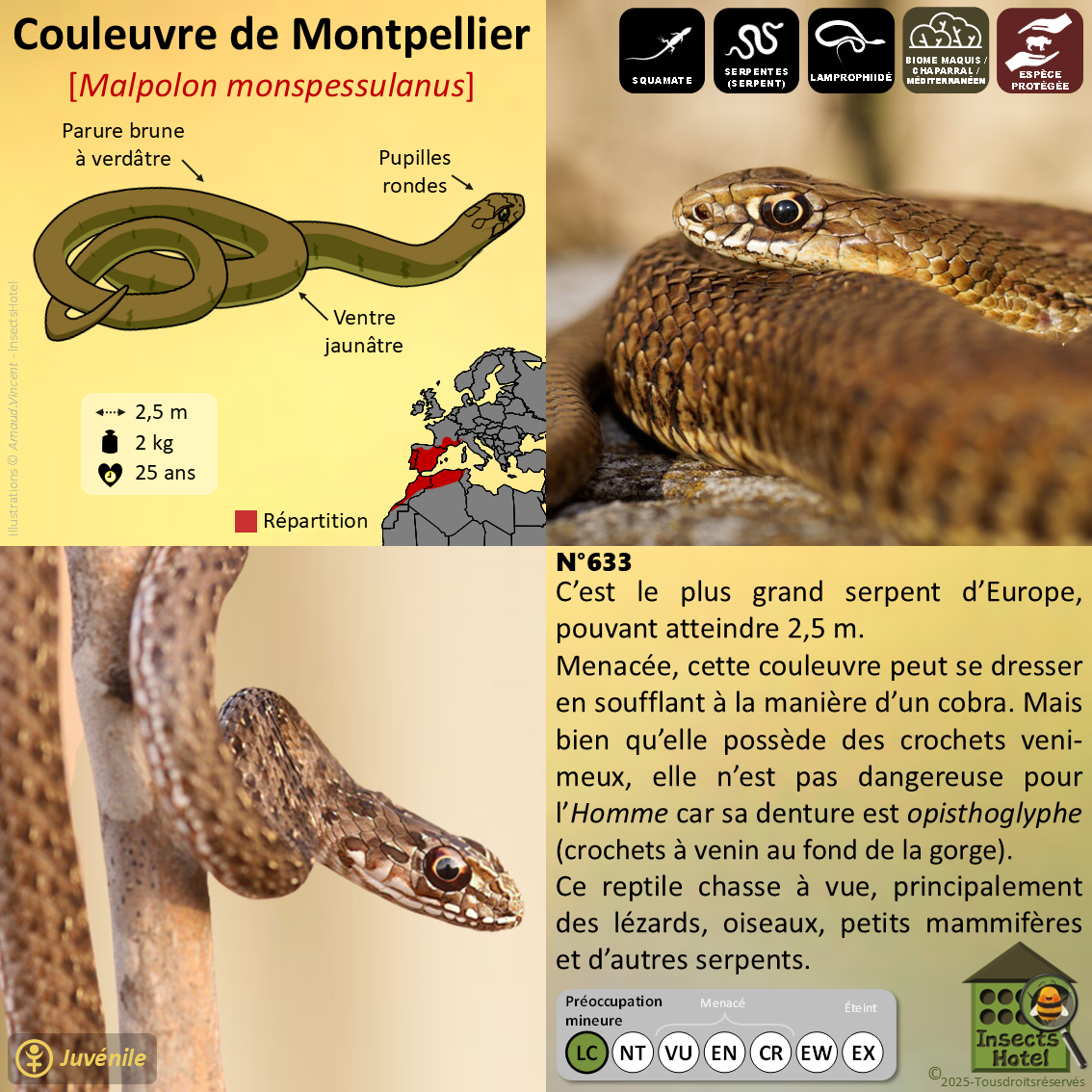 product_image_453799