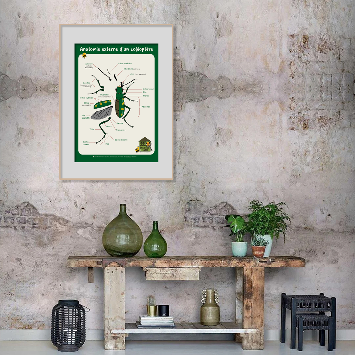 product_image_6482