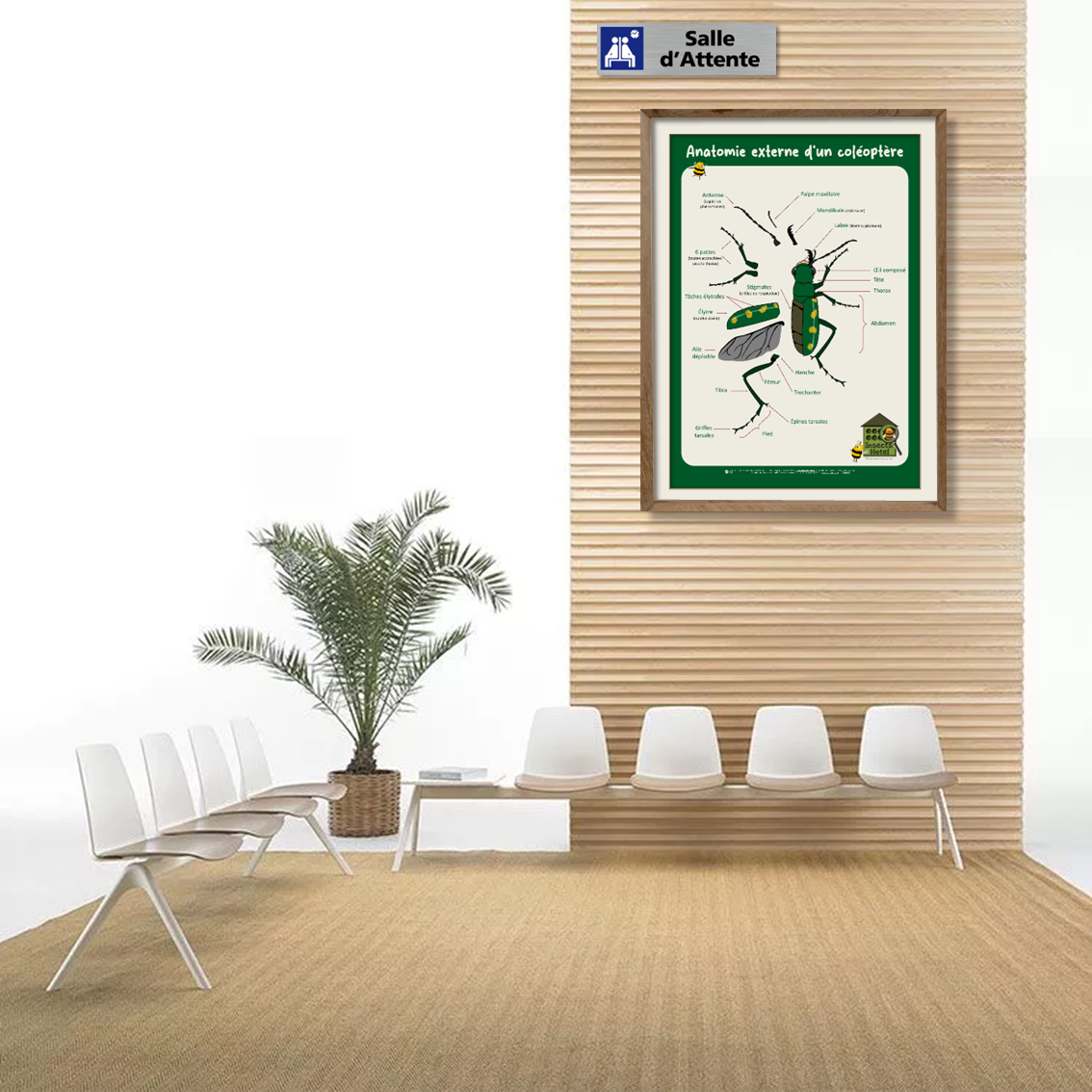 product_image_255446