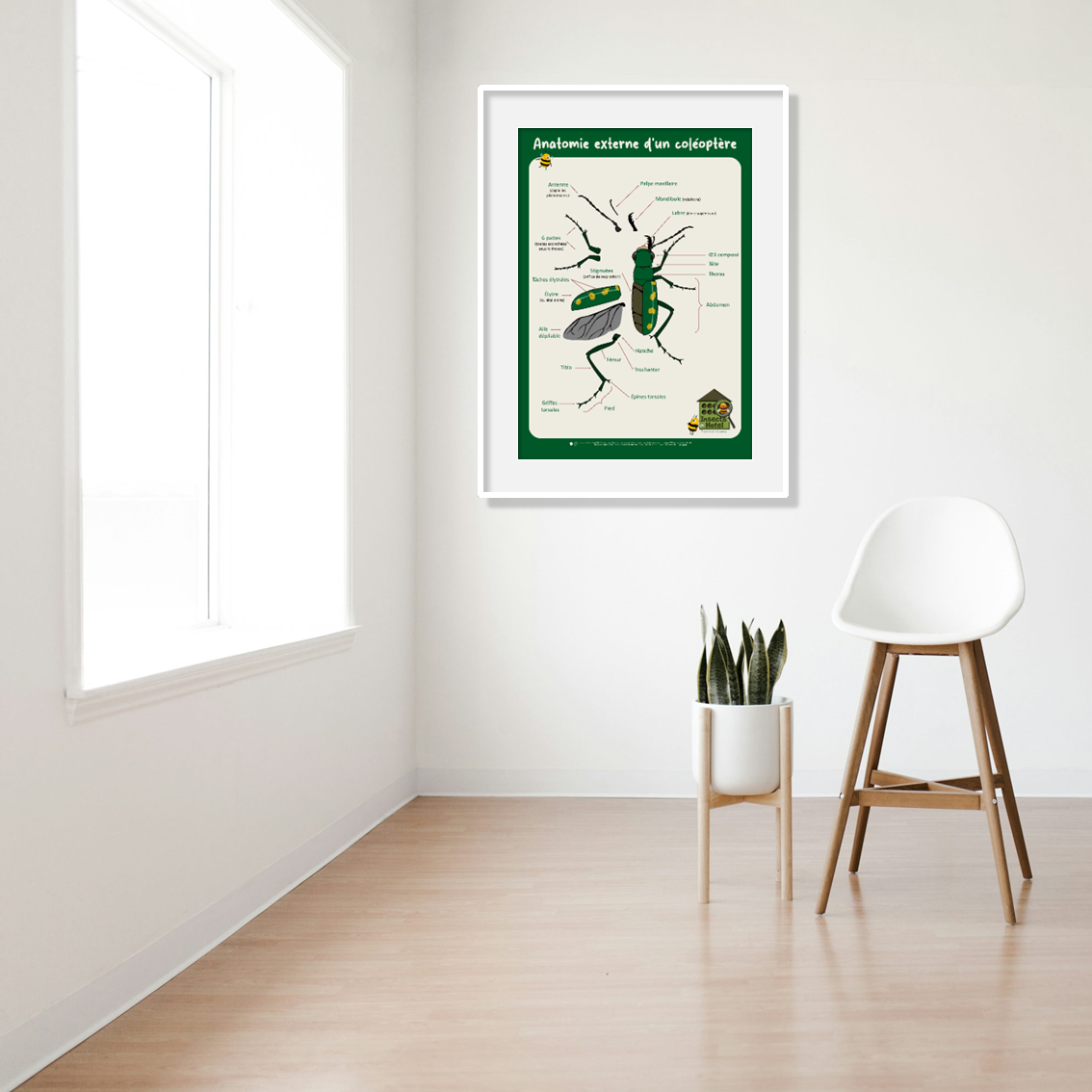 product_image_588184