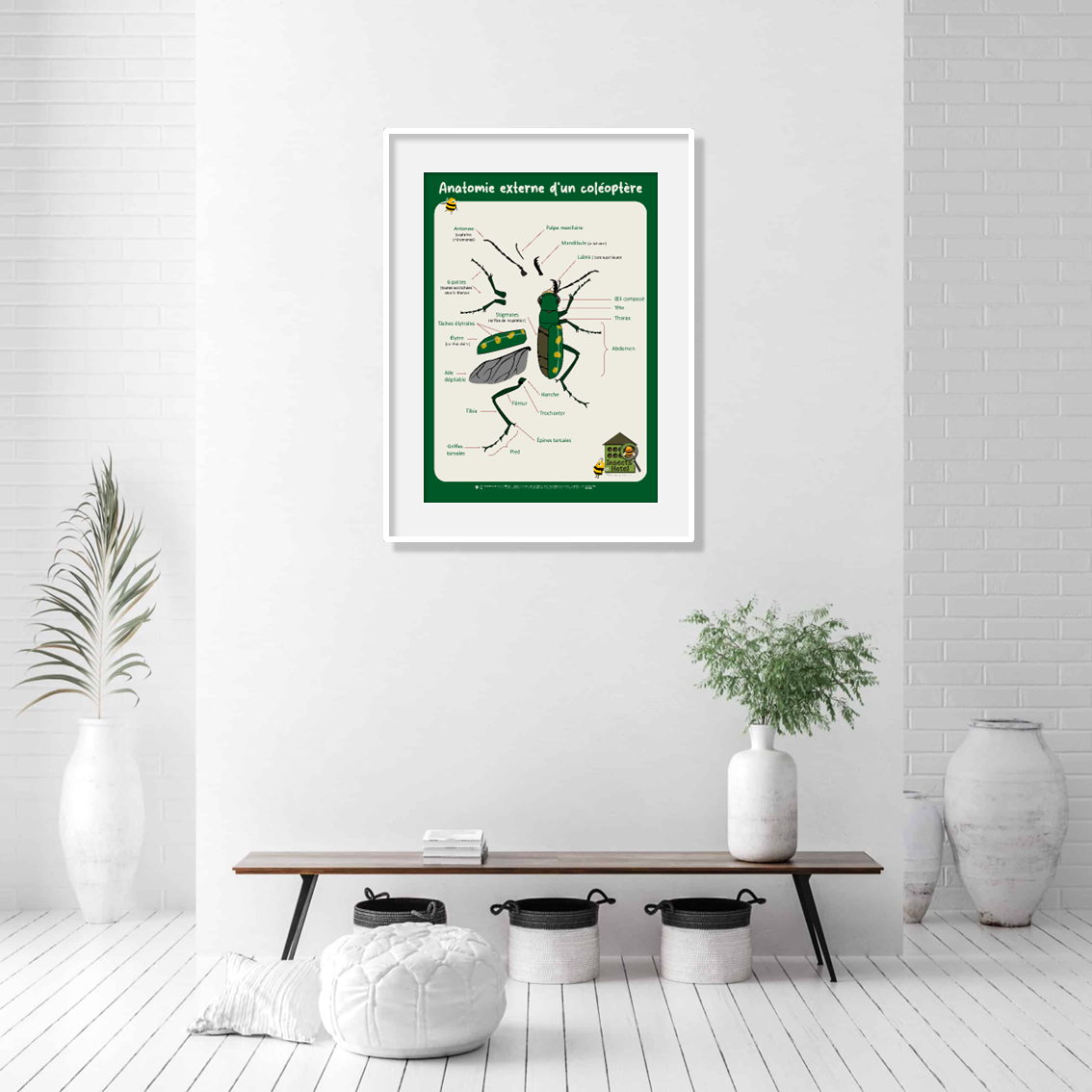 product_image_479433