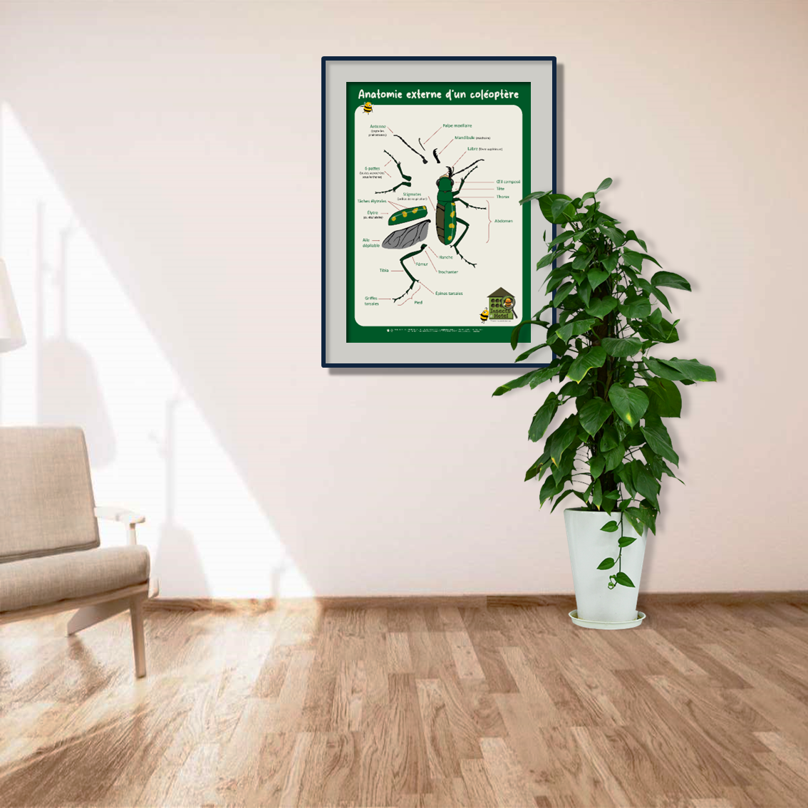 product_image_412598