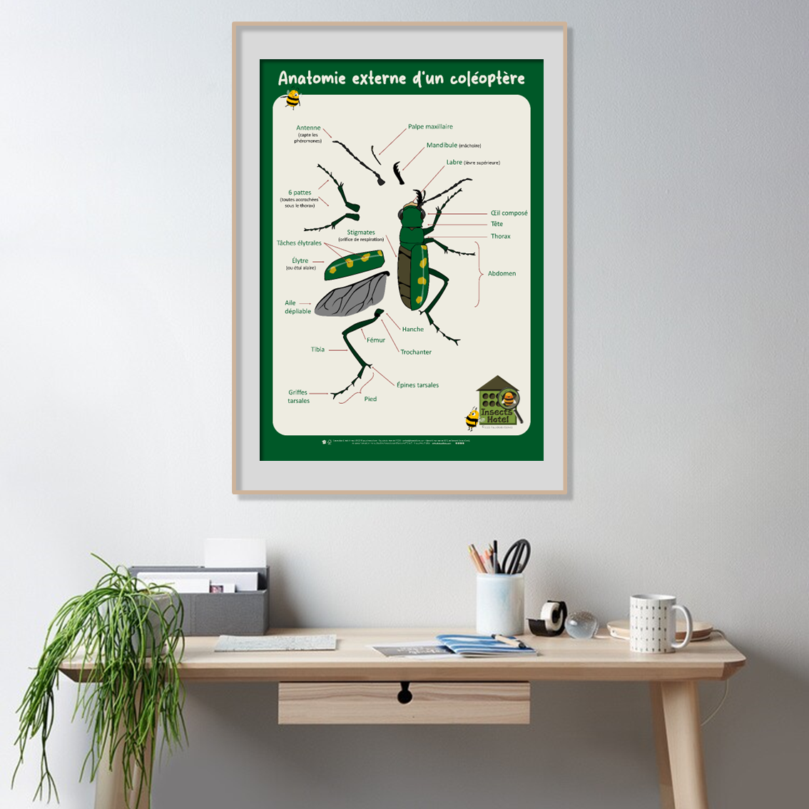 product_image_210325