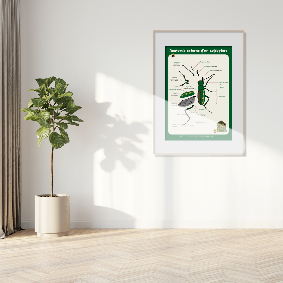 product_image_857393