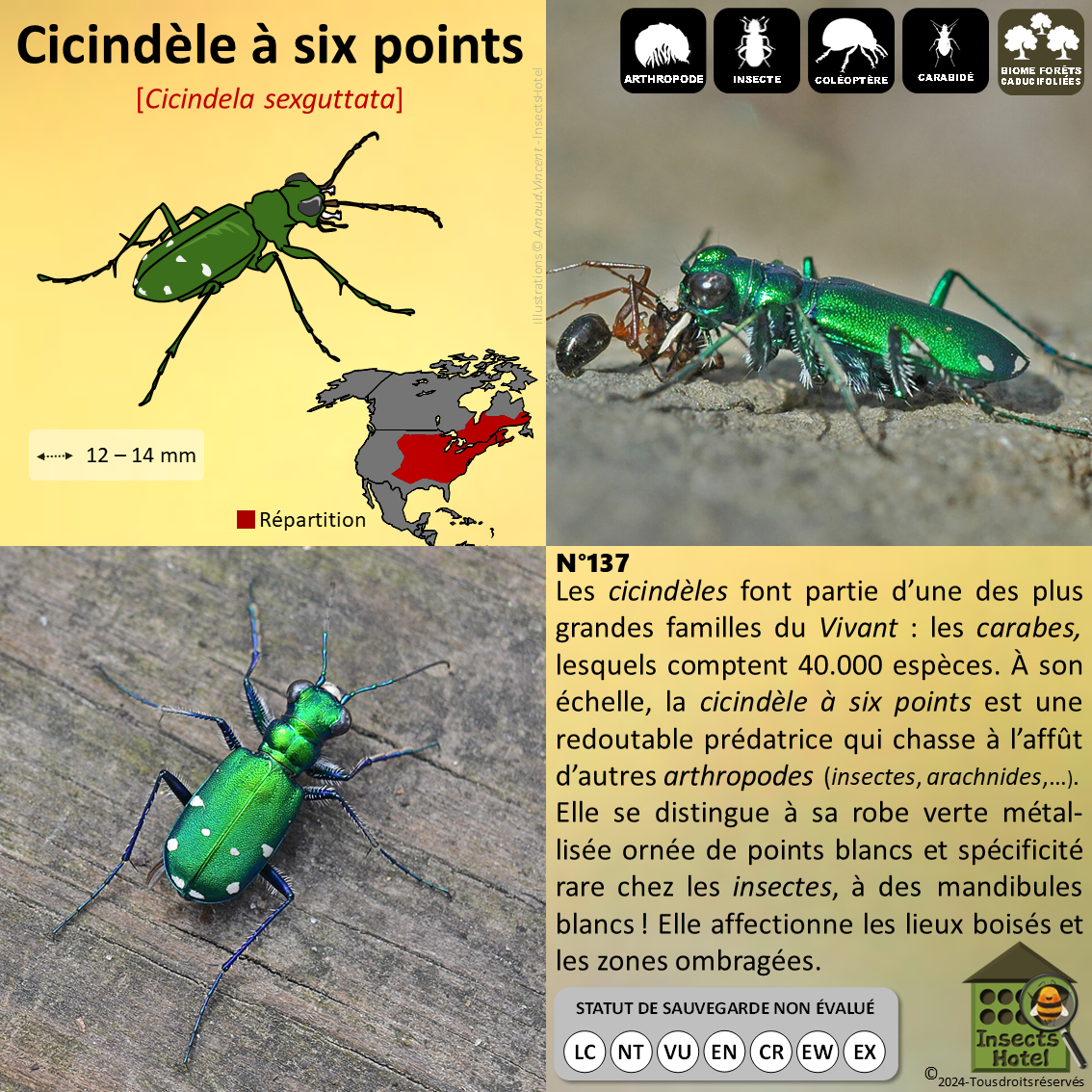 product_image_970814