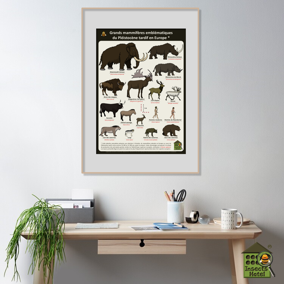 product_image_782435