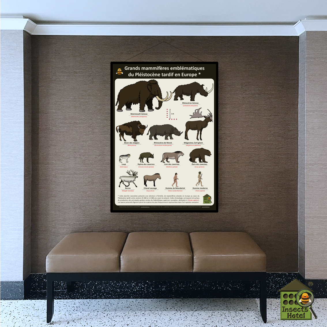 product_image_781510