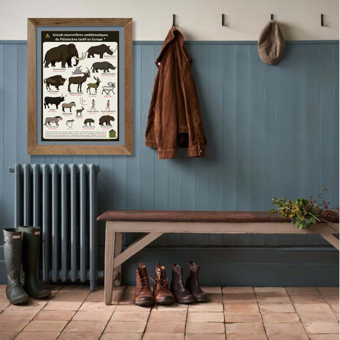 product_image_412619