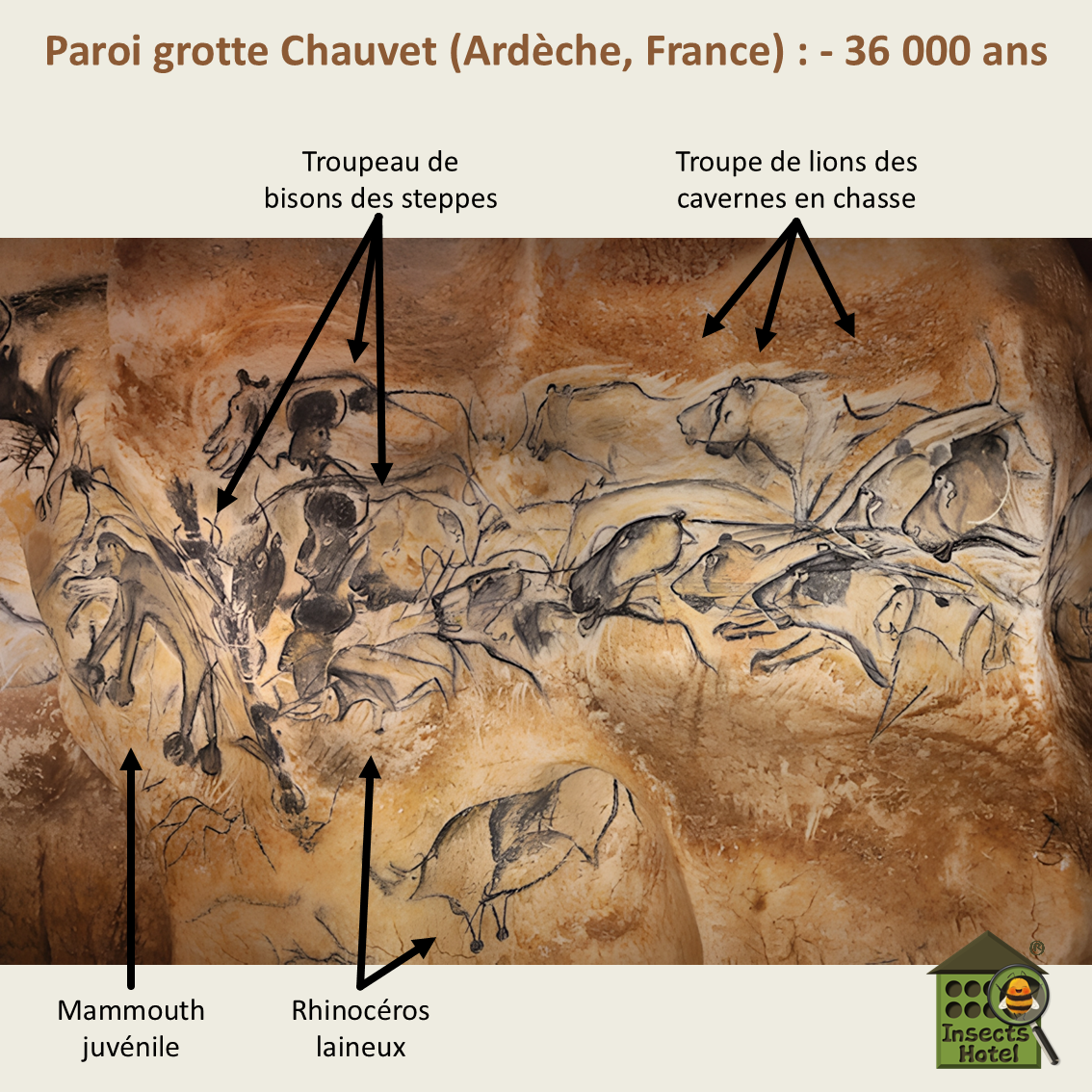 product_image_154570