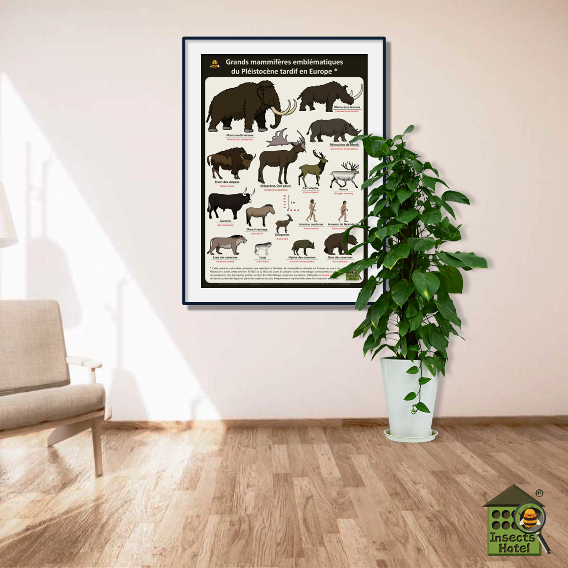 product_image_965921