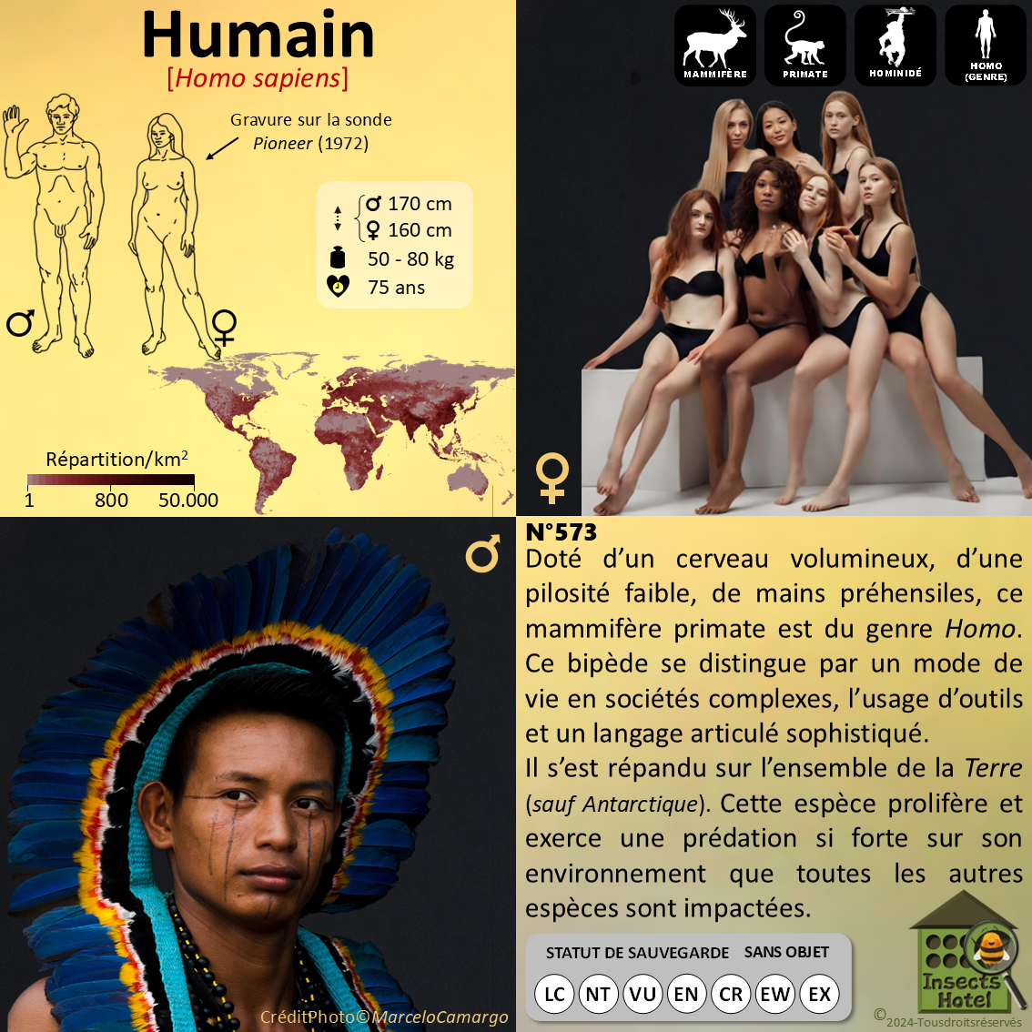 product_image_464722