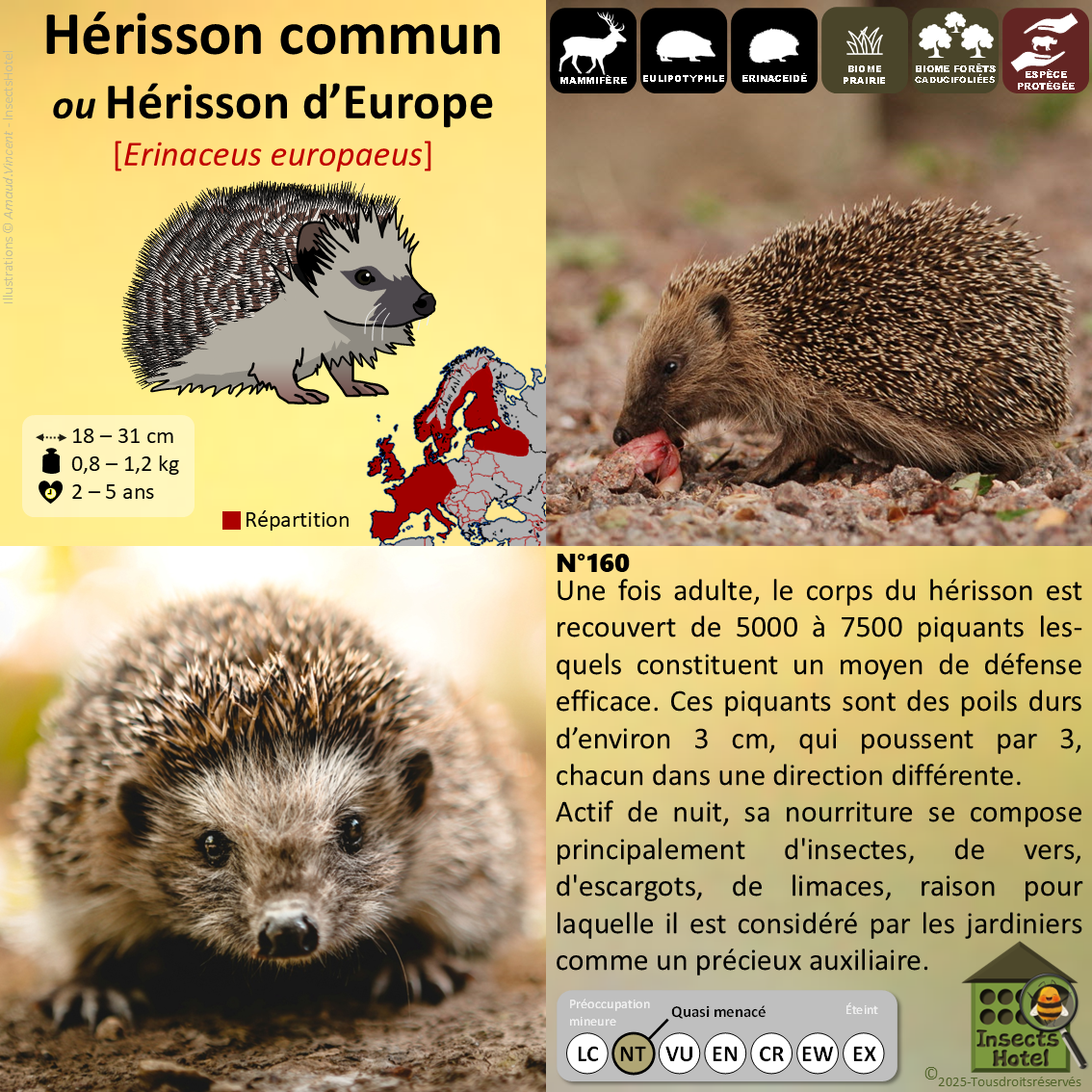 product_image_208408