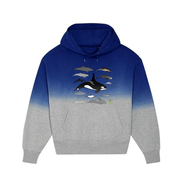 Image front Sweat à capuche Dip Dye oversized - femme ou homme - "Delphinidés du monde"