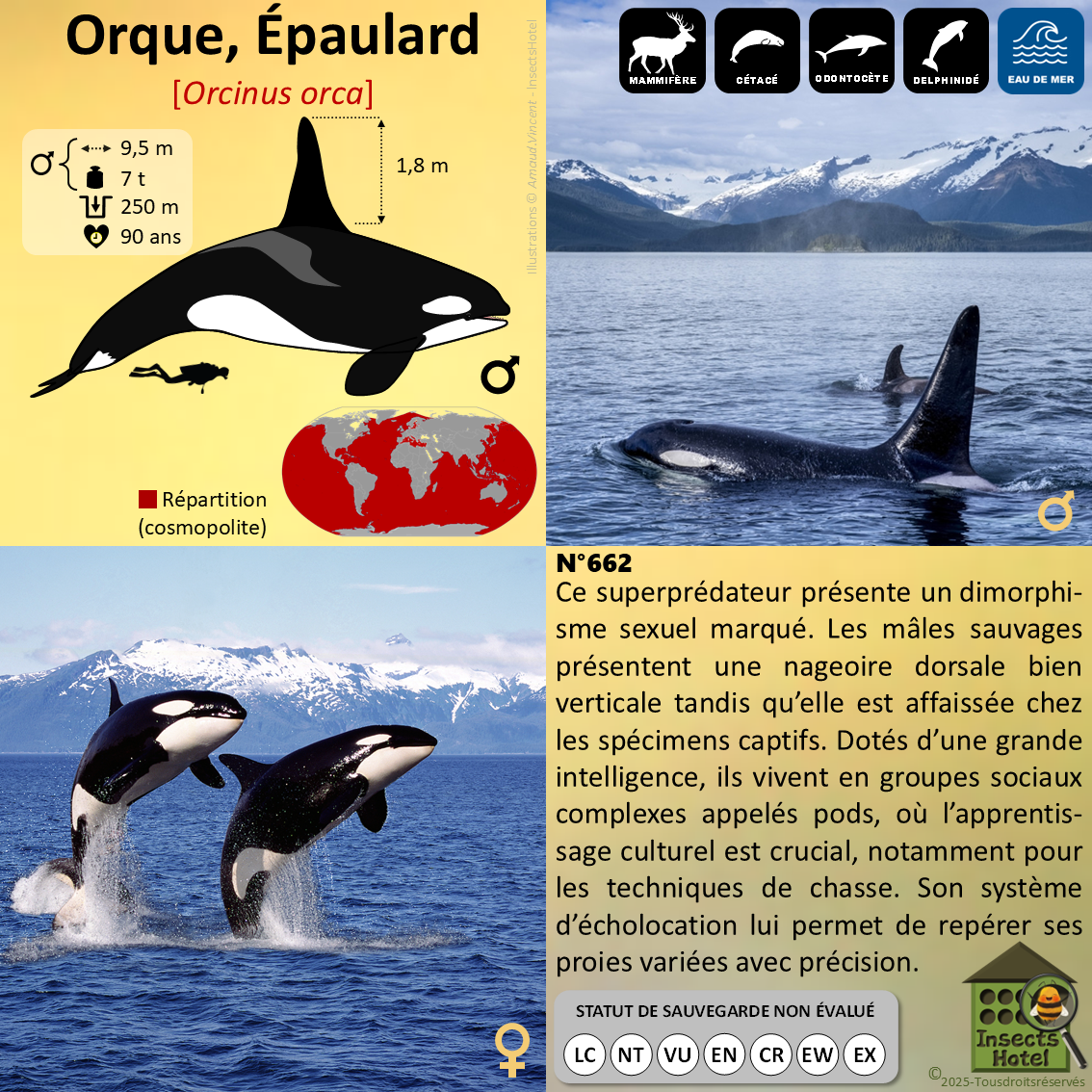 product_image_248280