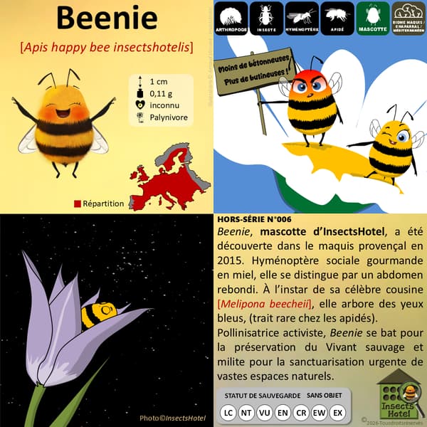 Image back Autocollant rond - Devise, logo & mascotte : Beenie !