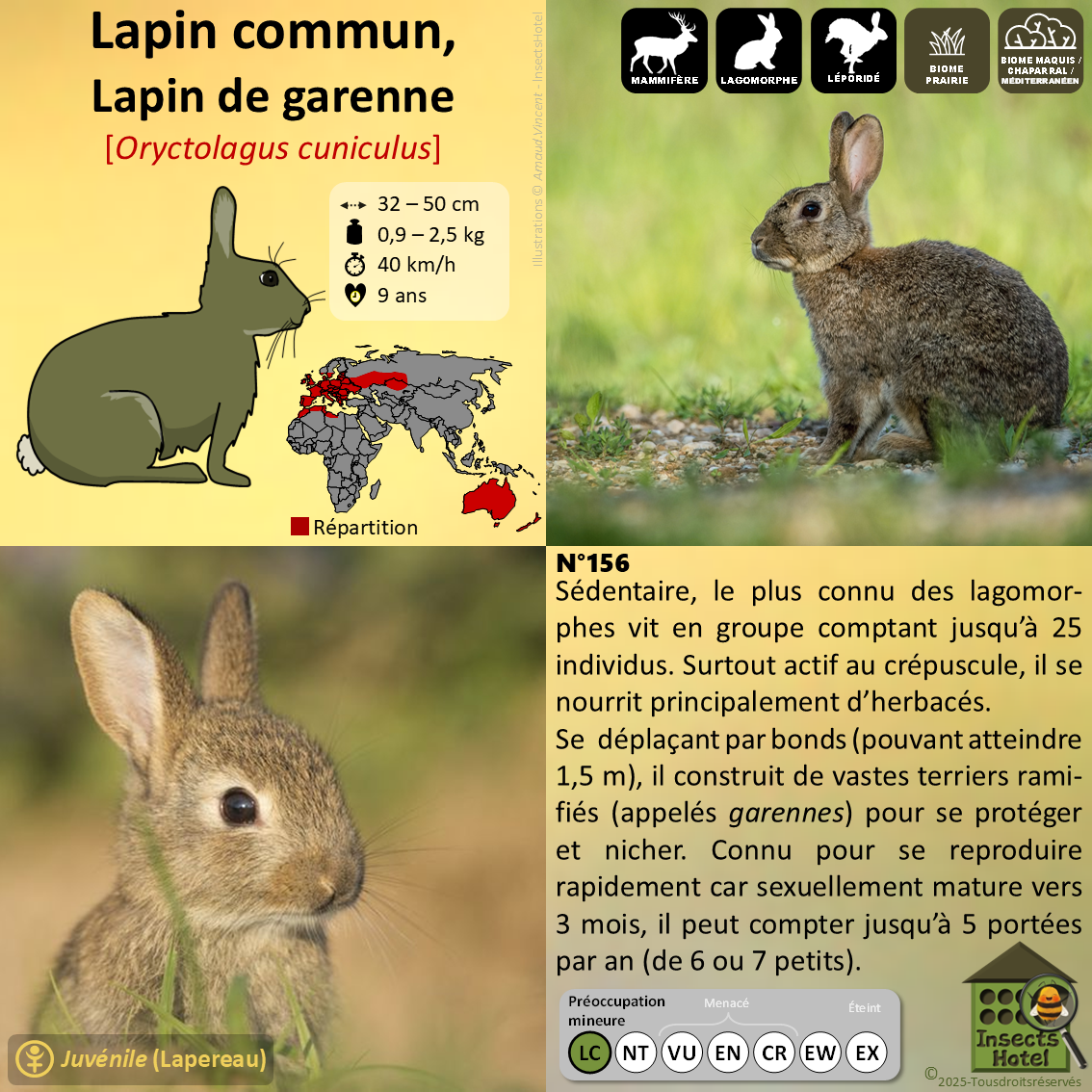 product_image_285789