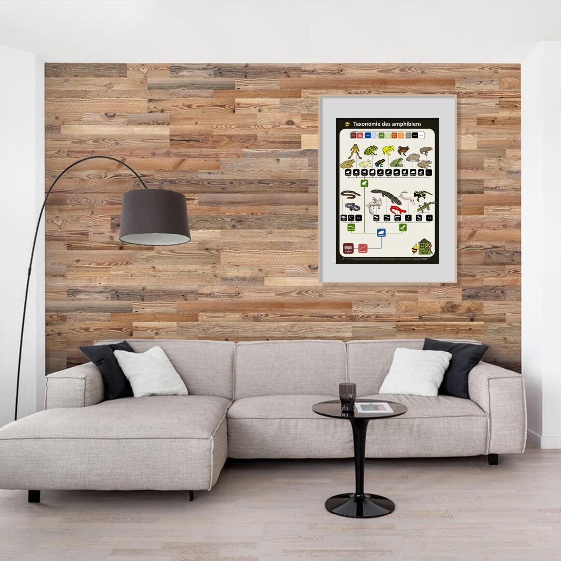 product_image_907518