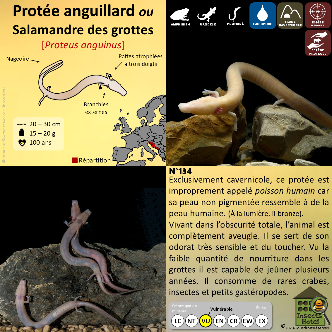 product_image_167063