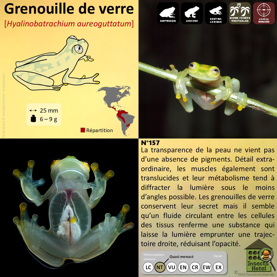 product_image_225190