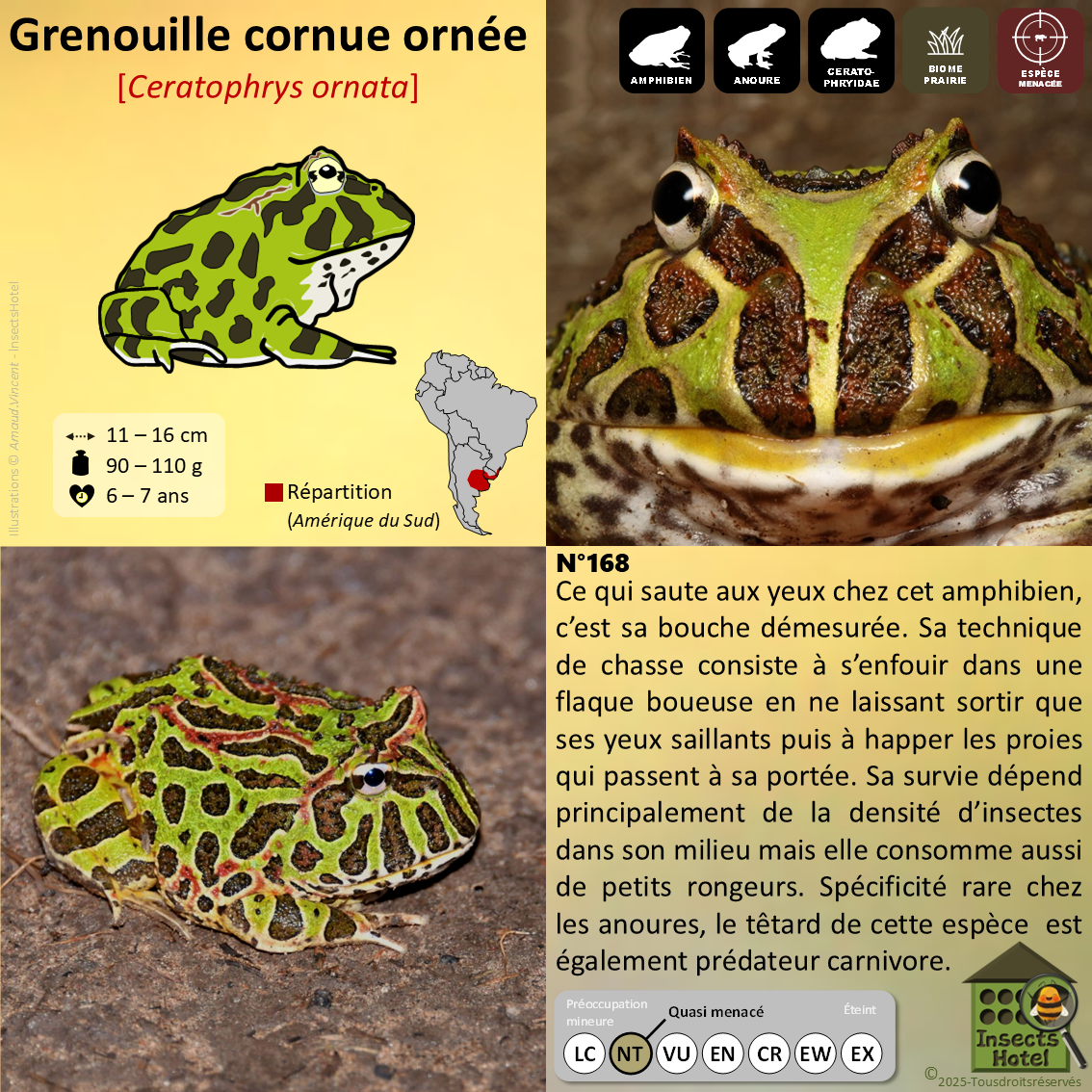 product_image_885558