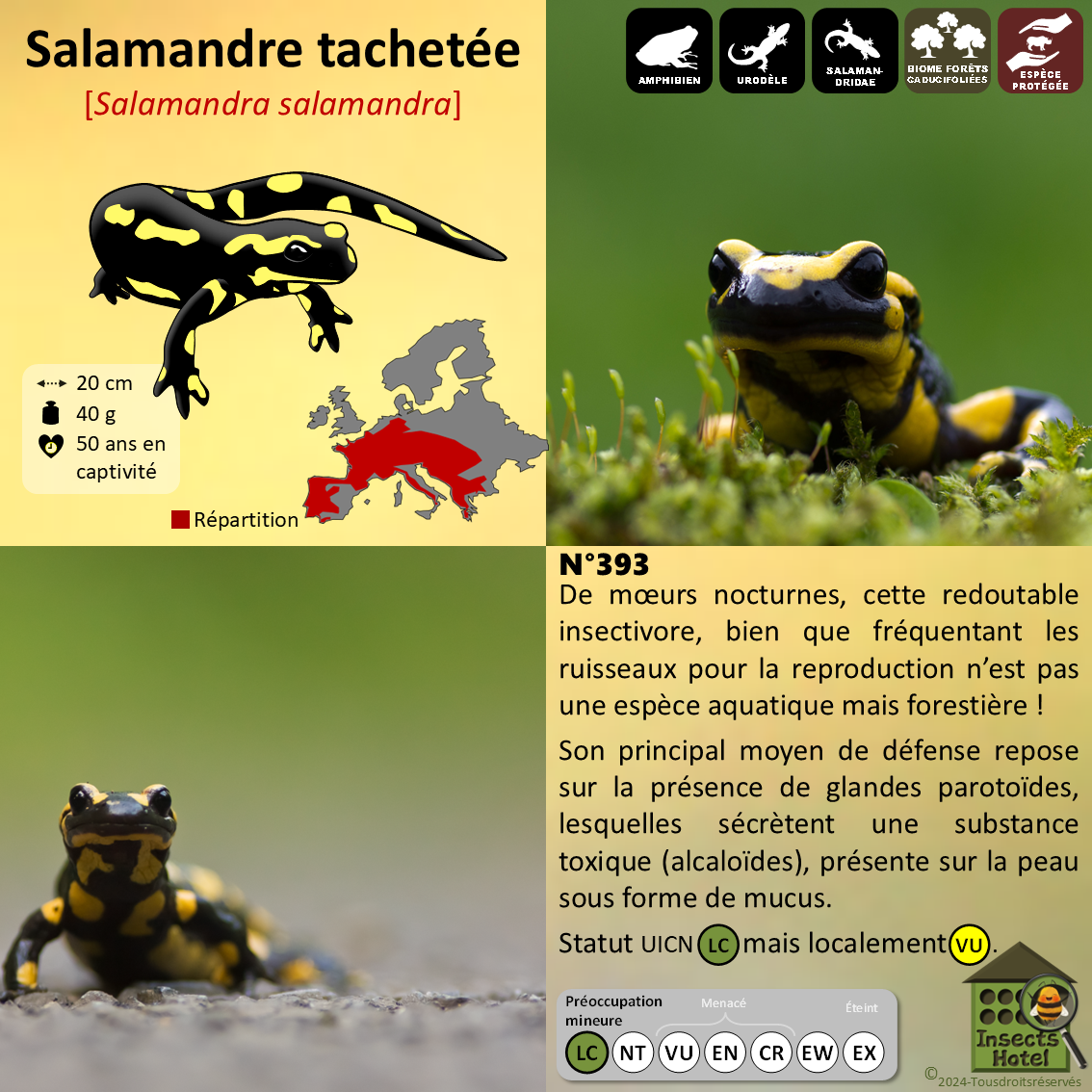 product_image_924007