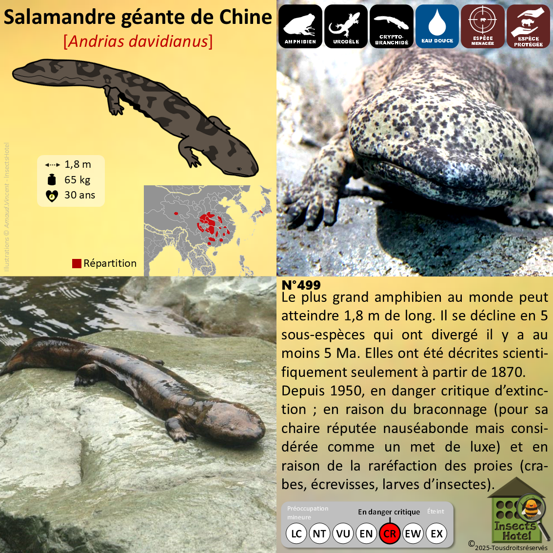 product_image_416957