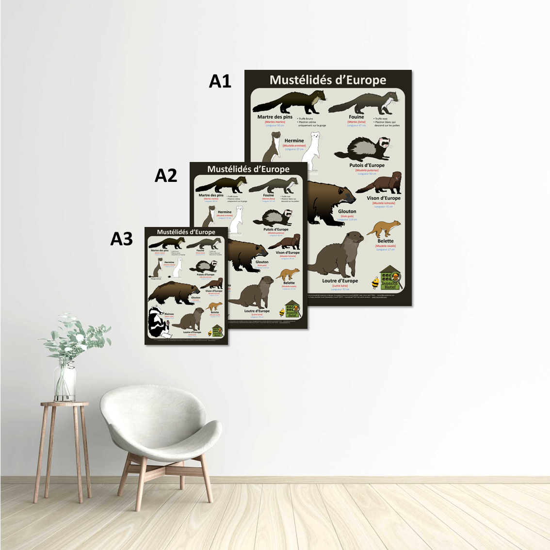 Image back Poster - Mustélidés d'Europe