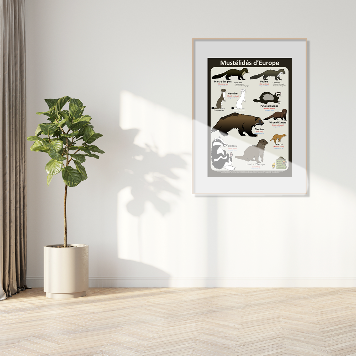 product_image_377696