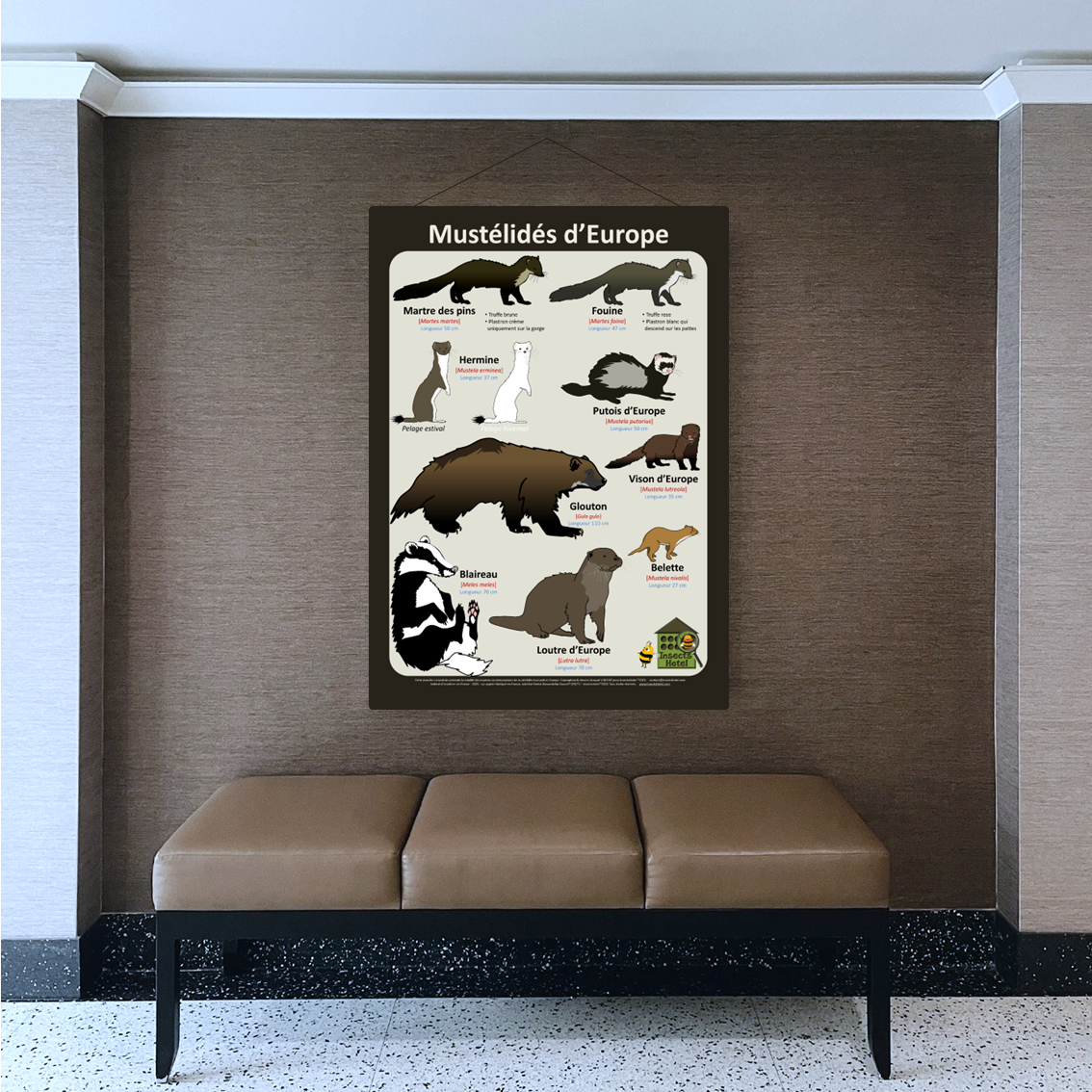 product_image_229906