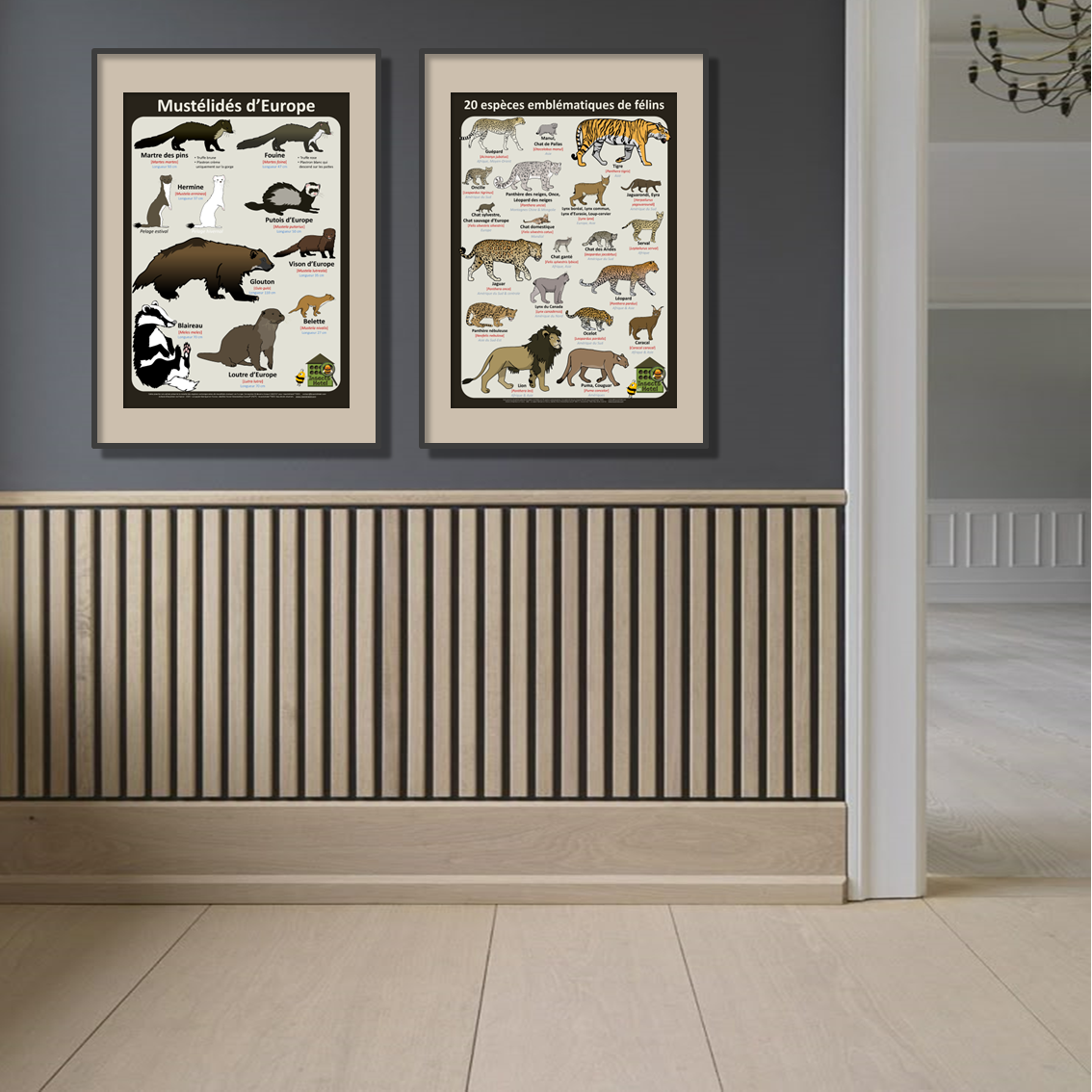 product_image_308441