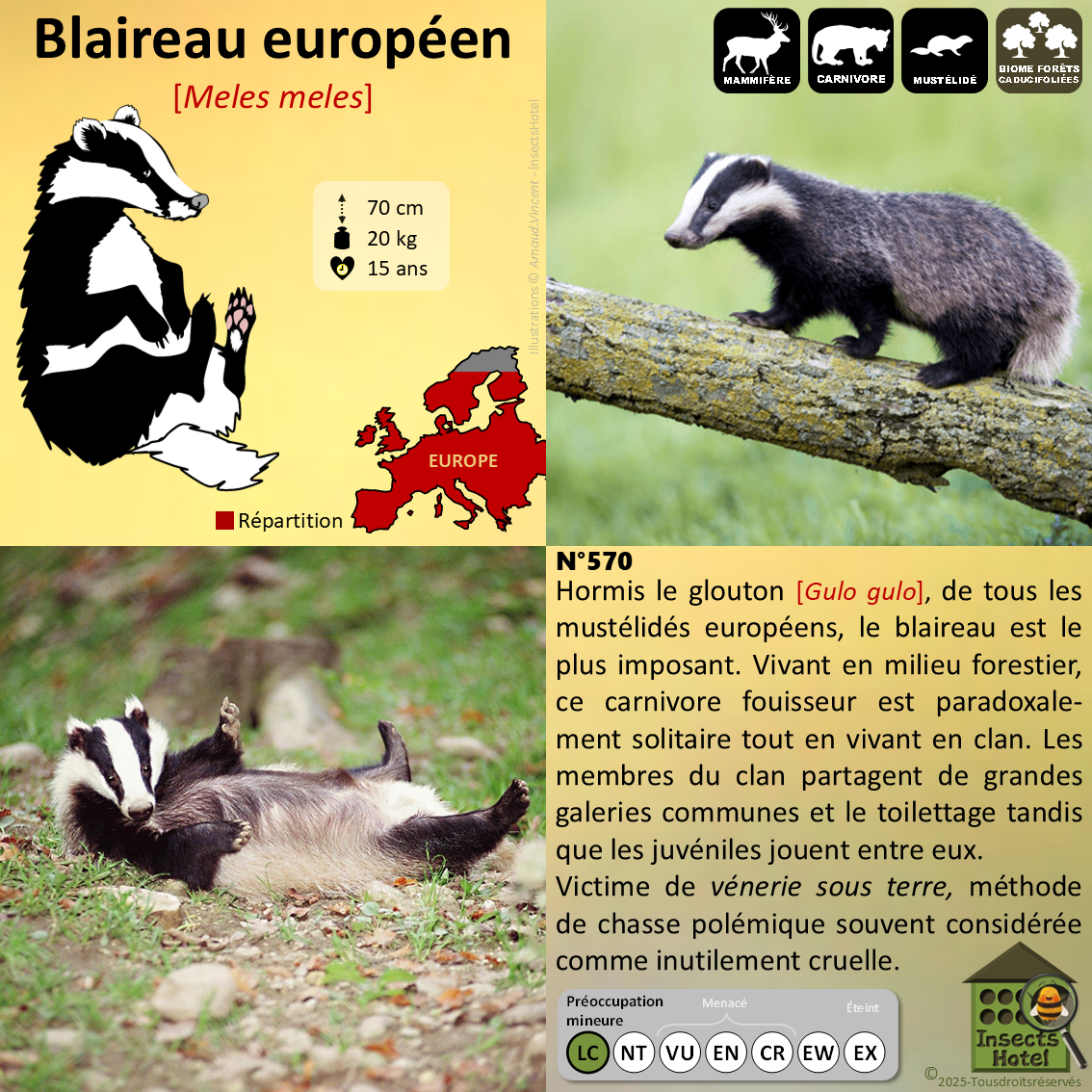 product_image_361083