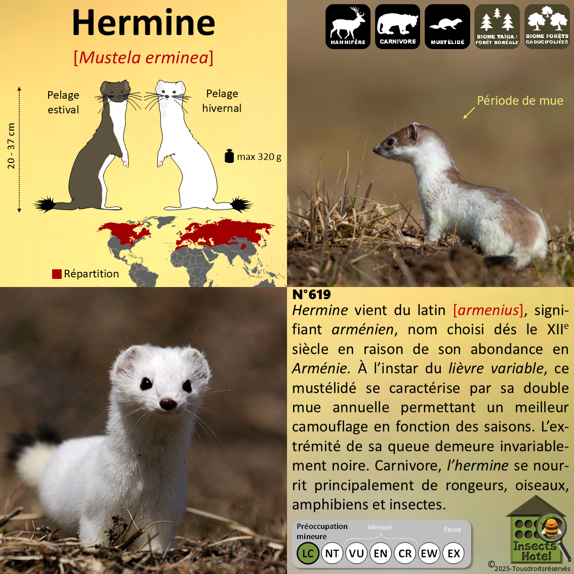 product_image_478425