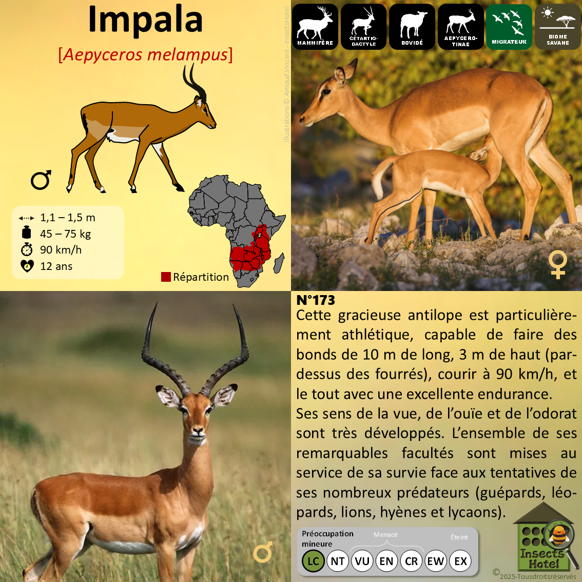 product_image_121383