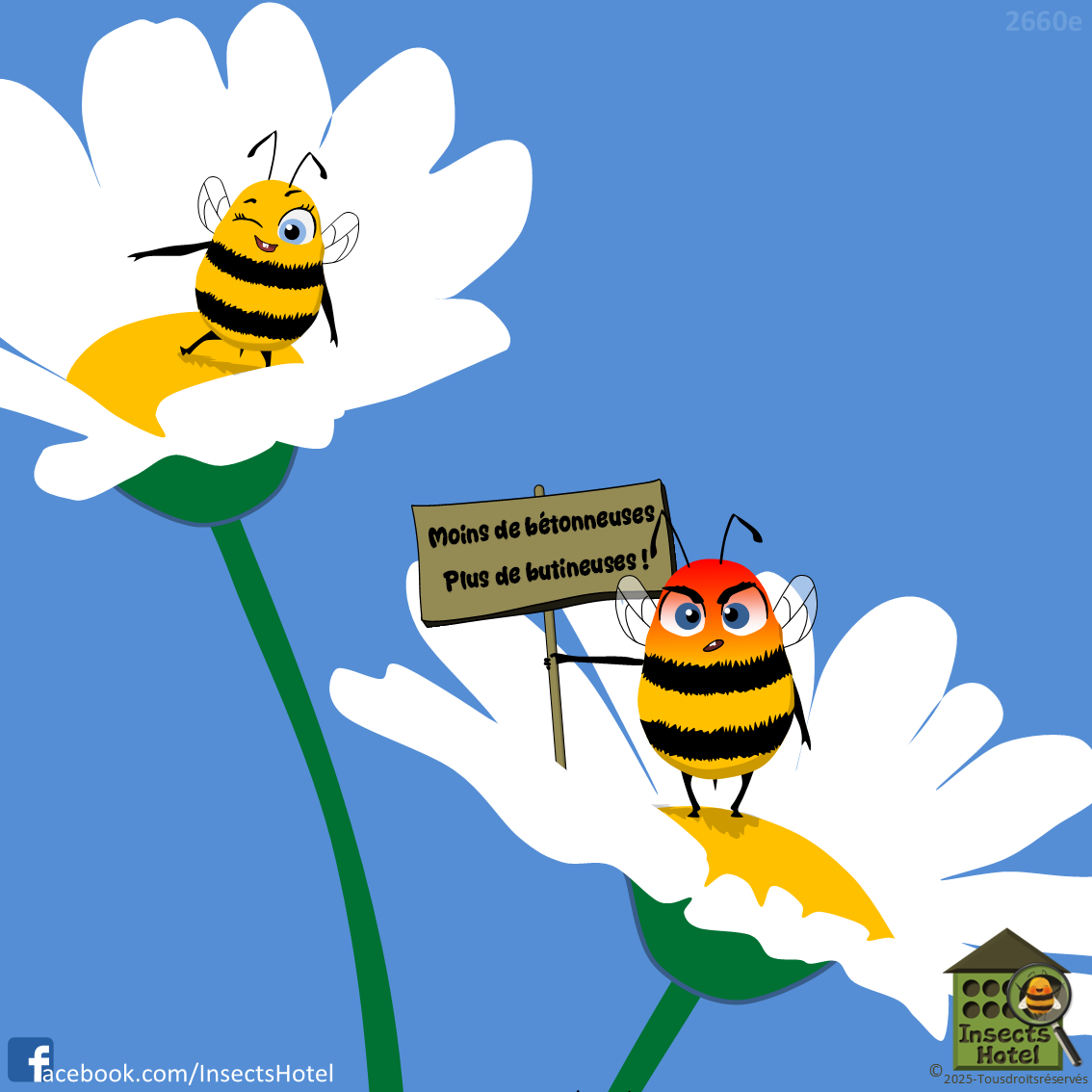 product_image_296743