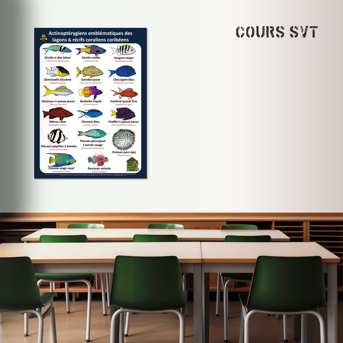 product_image_559715