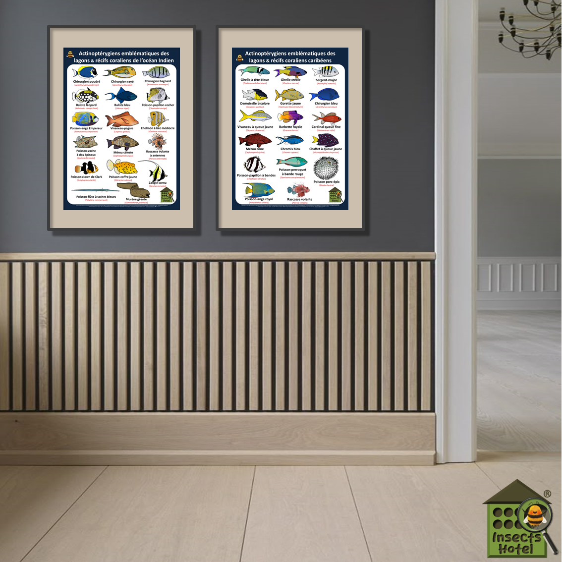 product_image_513768