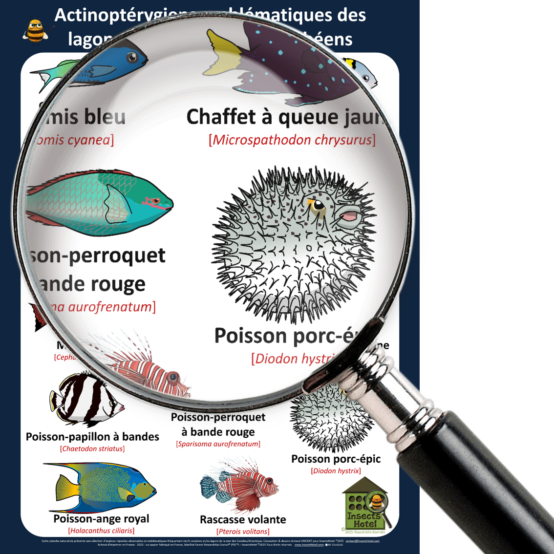 product_image_687937