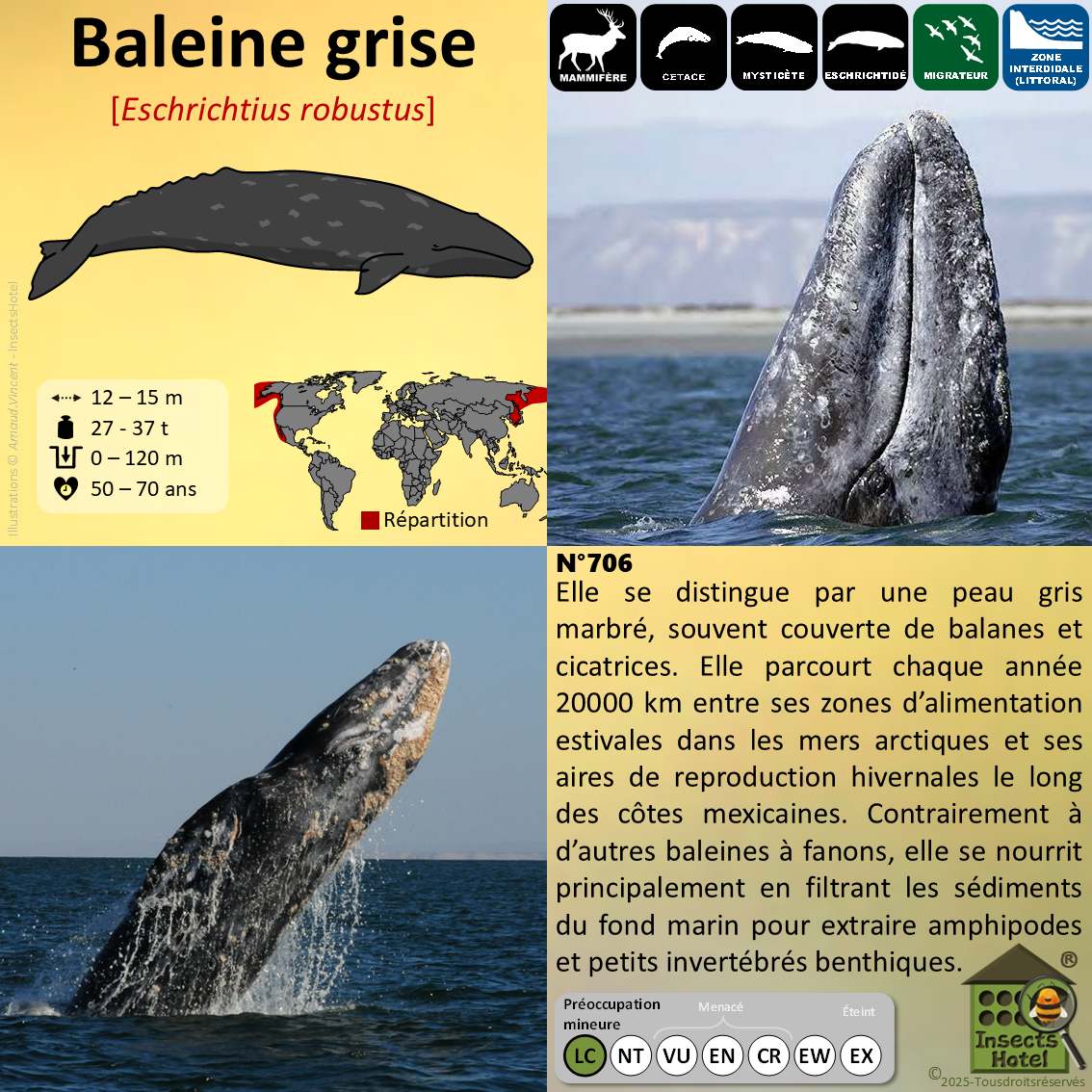 product_image_622101