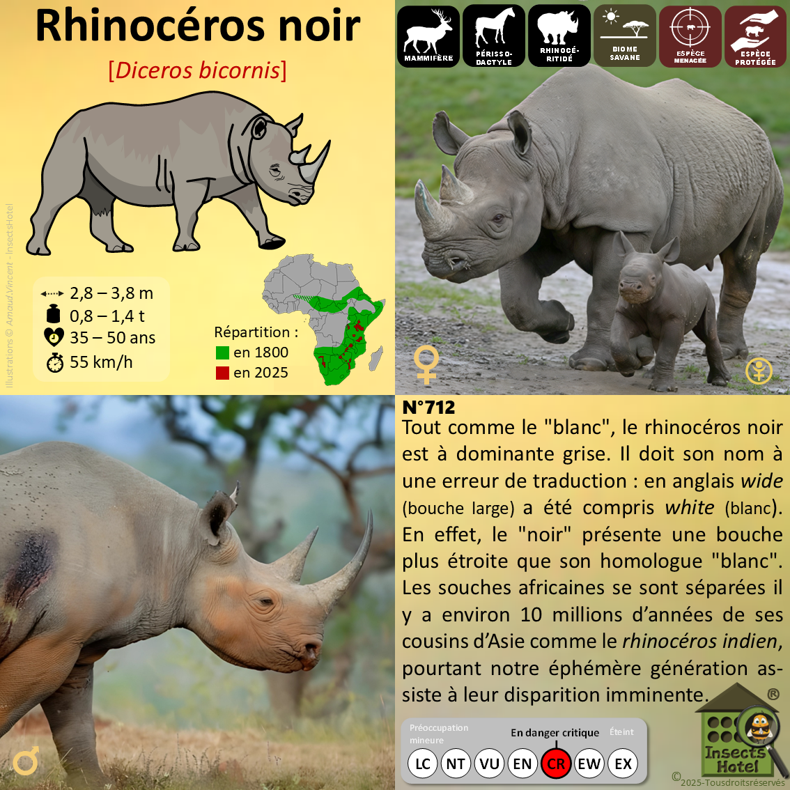 product_image_648863