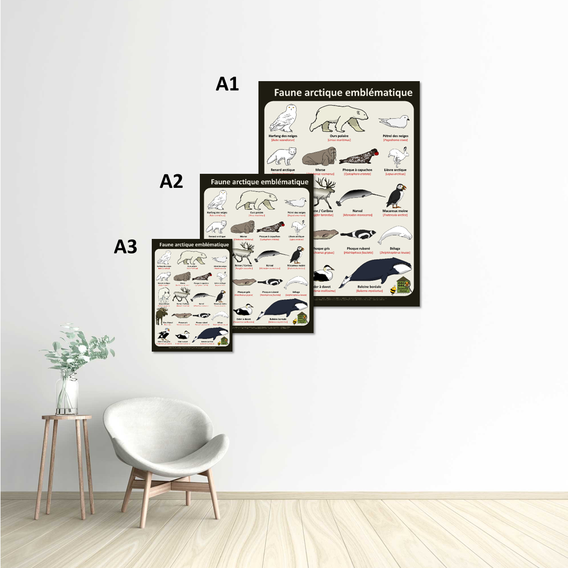 Image back Poster - Faune arctique emblématique