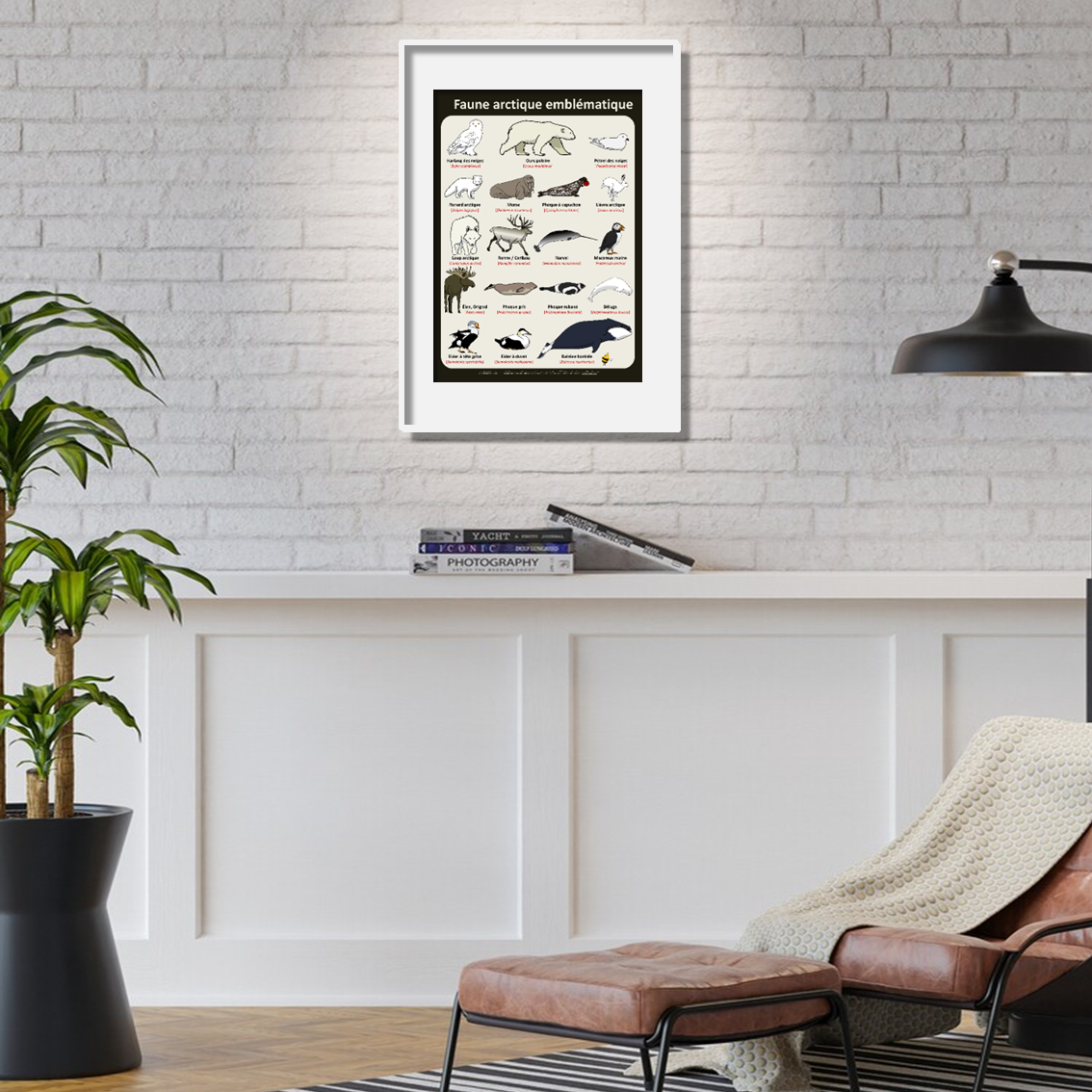 product_image_743647