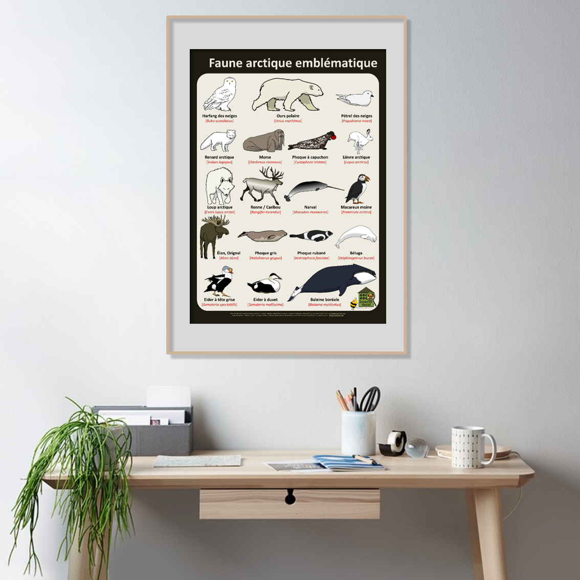 product_image_525963