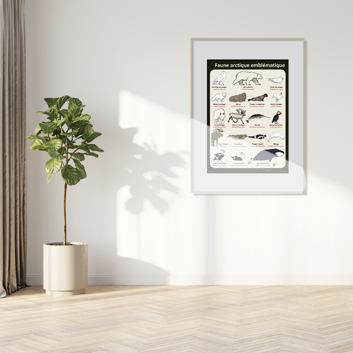 product_image_753405